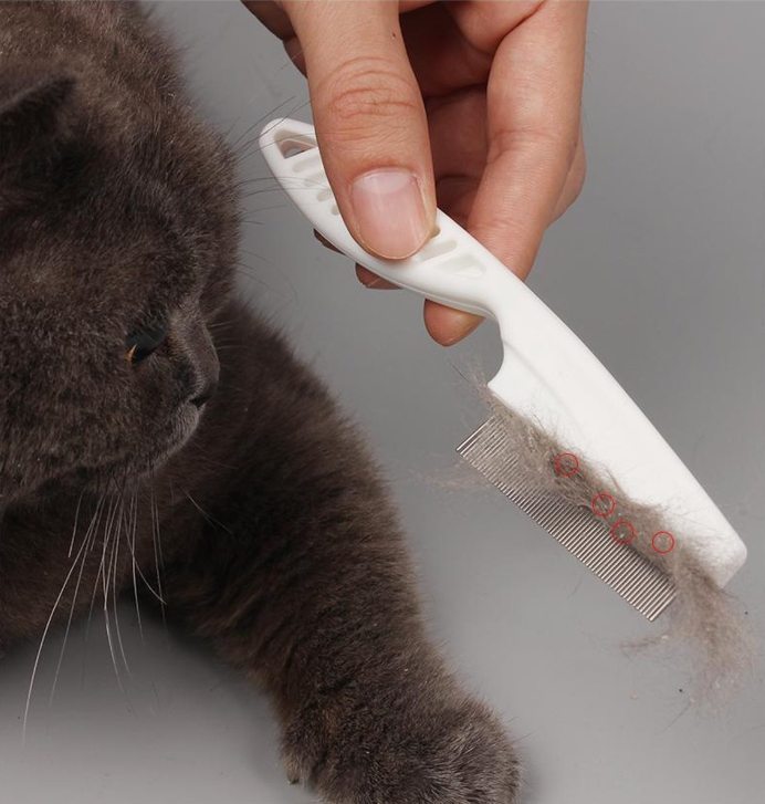 Anti Flea Comb