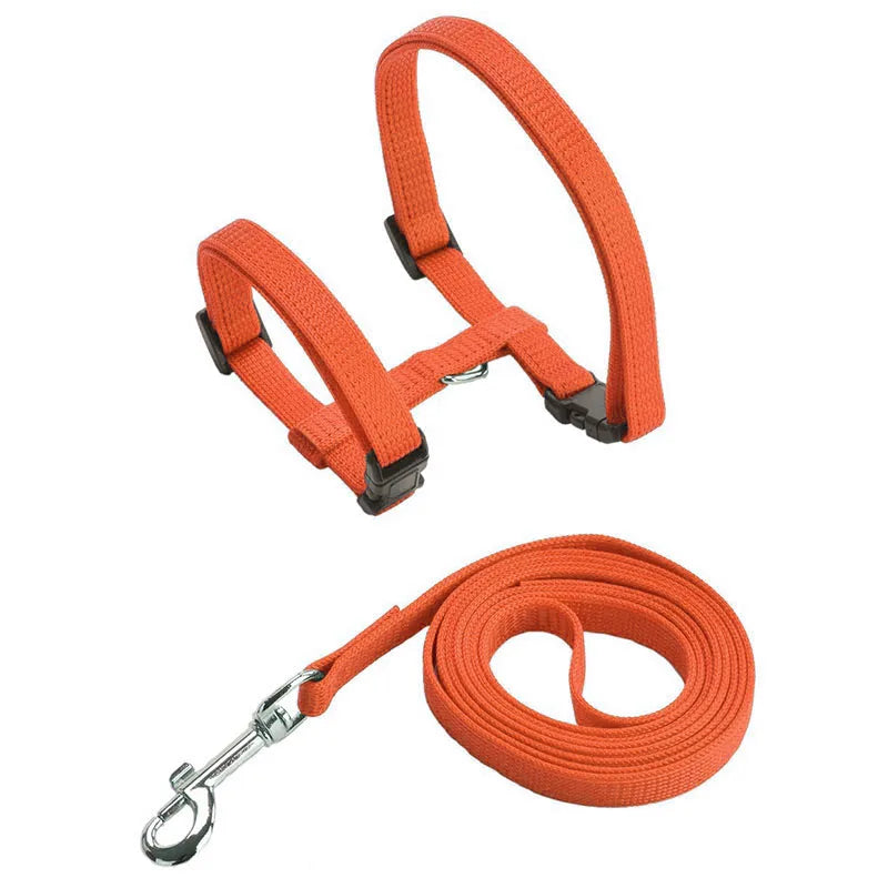 Adjustable Cat Harness & Leash Set