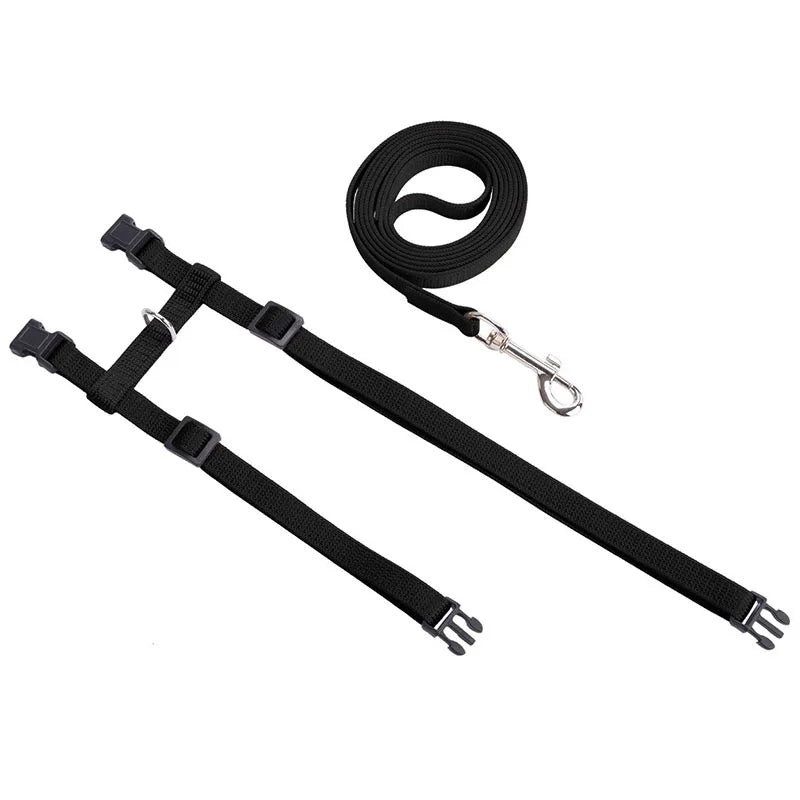 Adjustable Cat Harness & Leash Set