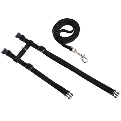 Adjustable Cat Harness & Leash Set
