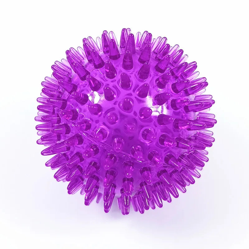 Dog Chew Toy