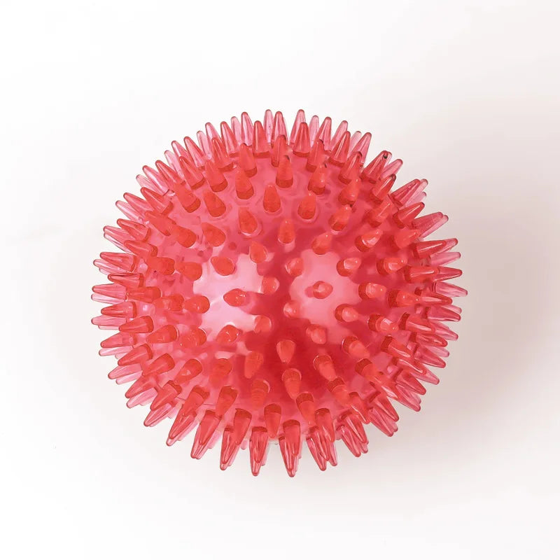 Dog Chew Toy