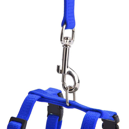 Adjustable Cat Harness & Leash Set