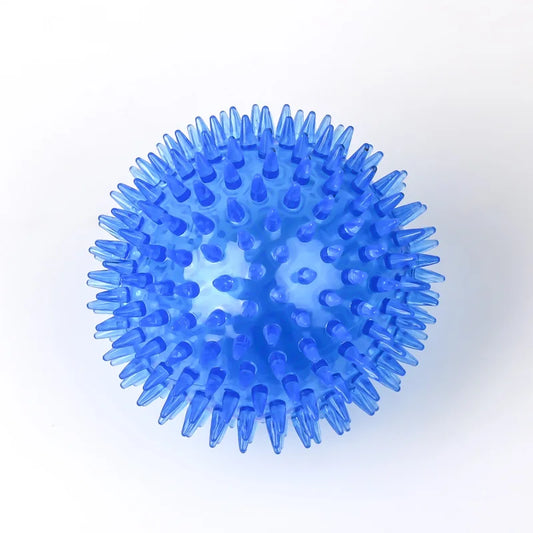 Dog Chew Toy