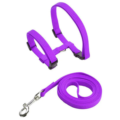 Adjustable Cat Harness & Leash Set