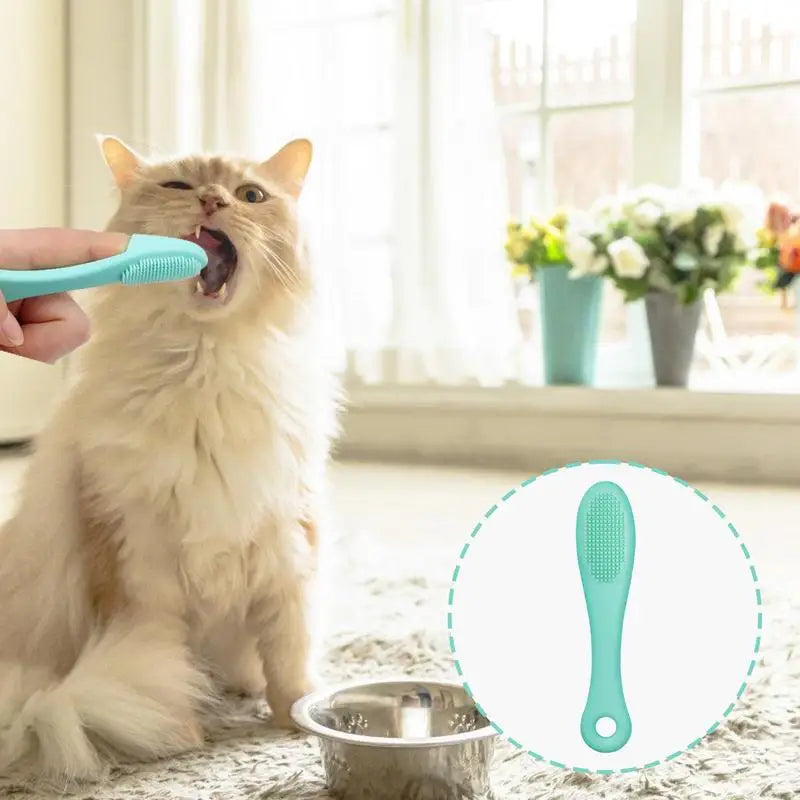 Soft Cat Brush