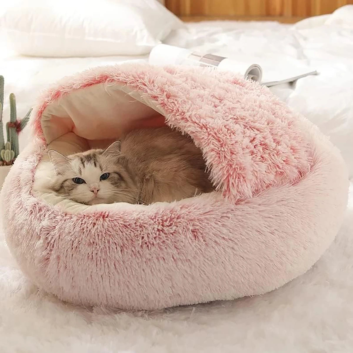 Cloud Bed