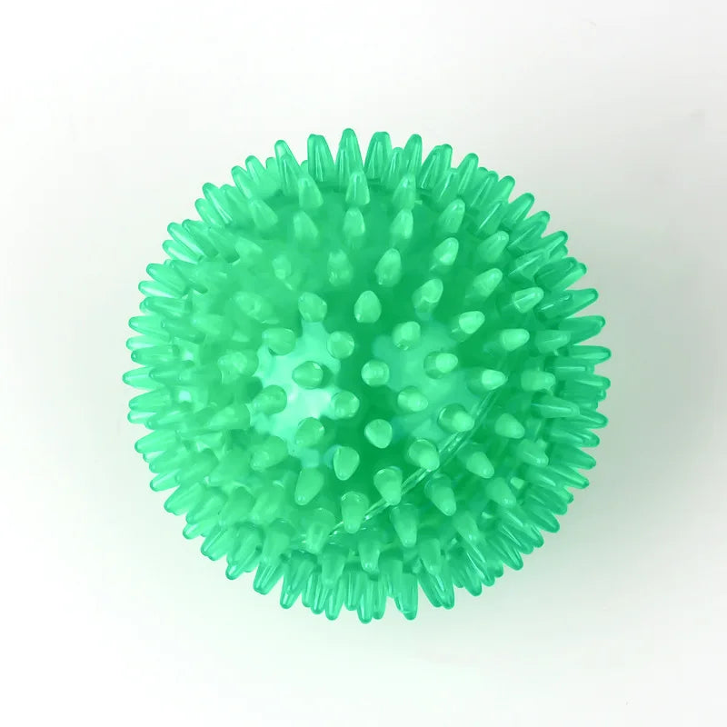 Dog Chew Toy