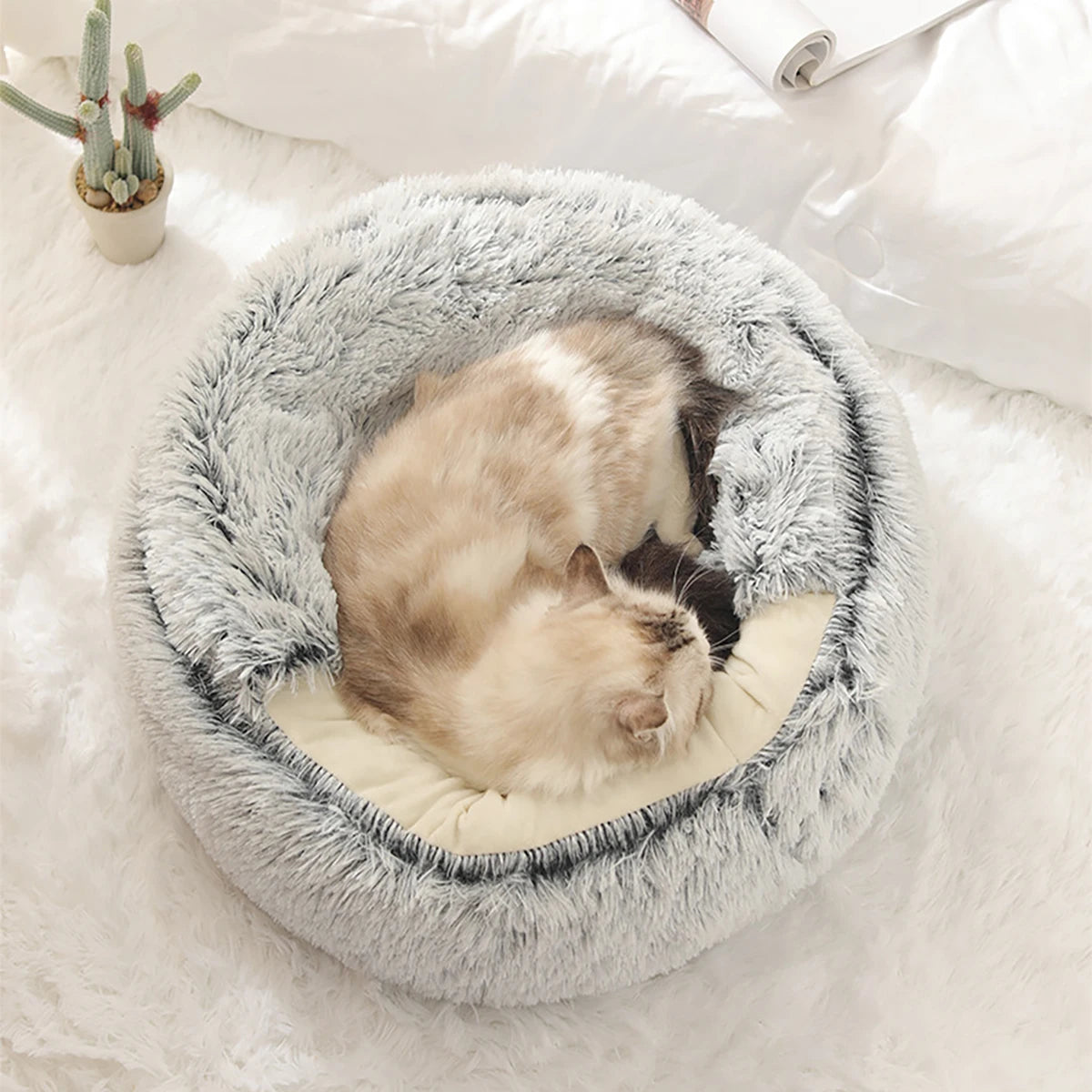 Cloud Bed