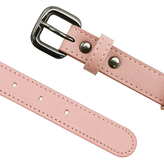 Premium Leather Collar With AirTag Holder