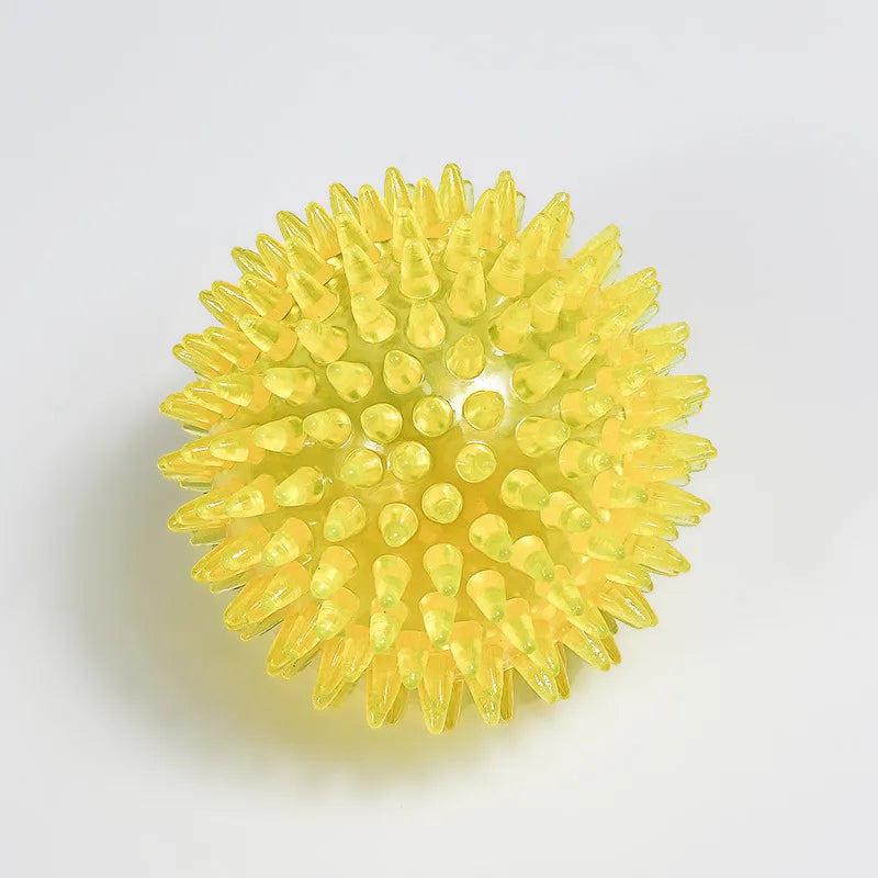 Dog Chew Toy