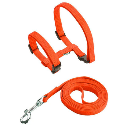 Adjustable Cat Harness & Leash Set