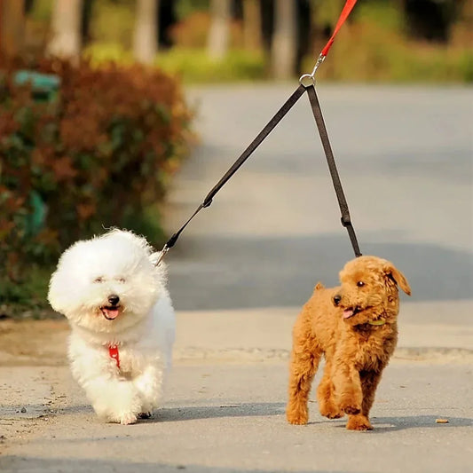 Safe Double Dog Leash Coupler
