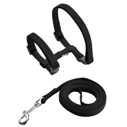 Adjustable Cat Harness & Leash Set