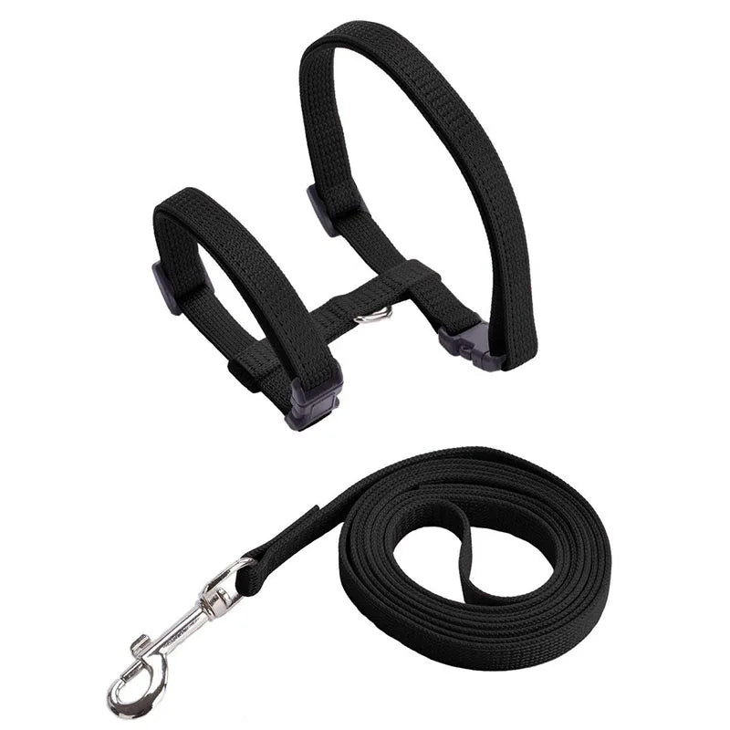 Adjustable Cat Harness & Leash Set