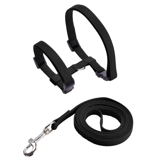 Adjustable Cat Harness & Leash Set