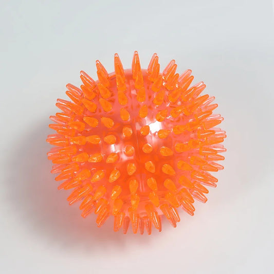 Dog Chew Toy