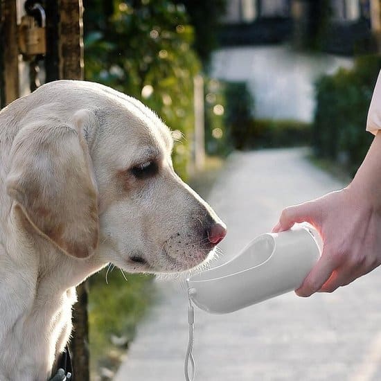 PawPal Reiseflasche